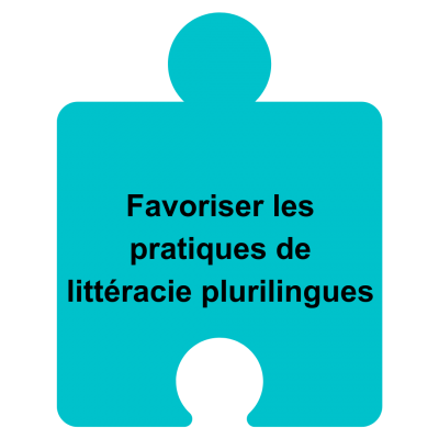 pratiques littéracie plurilingues